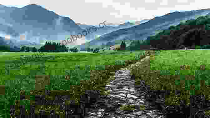 A Beautiful Photograph Of A Pathway Leading Through A Lush Meadow, Surrounded By Rolling Hills And A Clear Blue Sky. The Image Evokes A Sense Of Tranquility And Escape, Inviting The Viewer To Explore The Natural Beauty Of The Countryside. A Shropshire Lad (Macmillan Collector S Library 145)