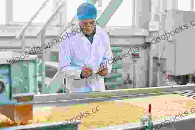 A Government Official Inspecting The Quality Of Bread At A Local Bakery. States Of Subsistence: The Politics Of Bread In Contemporary Jordan (Stanford Studies In Middle Eastern And Islamic Societies And Cultures)