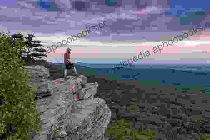 A Hiker Sits Alone On A Rock Overlooking A Vast Wilderness Landscape Stand And Yell: Pretentious And Unsolicited Lessons From The Backcountry