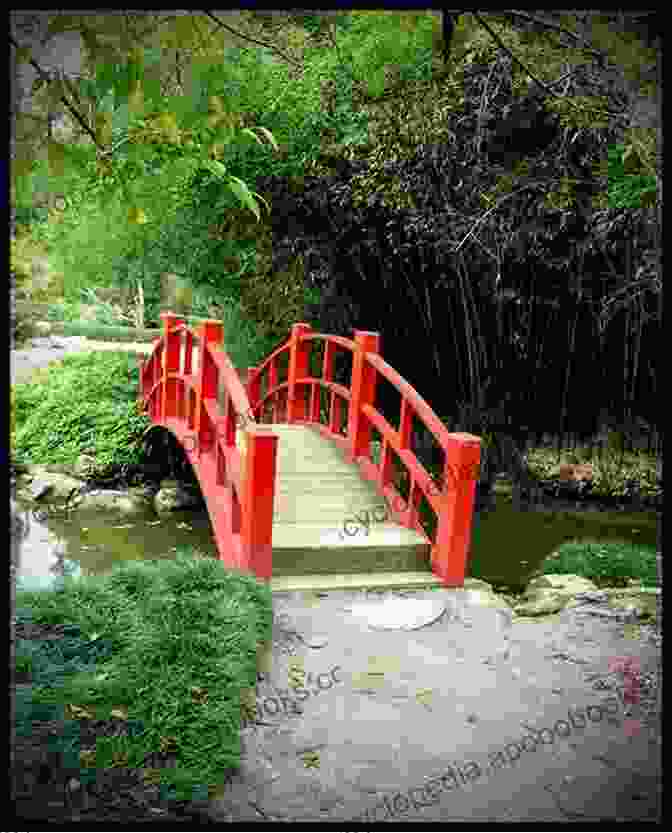 A Serene Photograph Of A Traditional Japanese Garden With A Small Stone Bridge And Blooming Cherry Blossoms 55 Photographs Of Kyoto Jerome Sitko