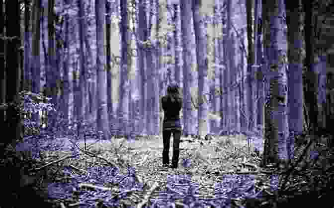 Anya, Lost And Alone In The Woods, Surrounded By Towering Trees Between Lost And Found And Infinite