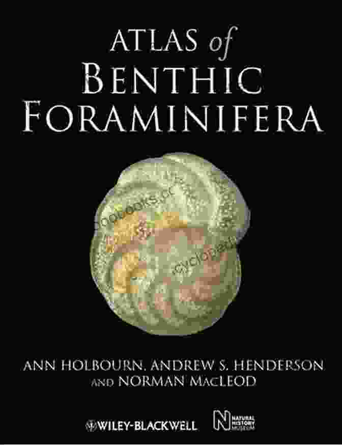 Atlas Of Benthic Foraminifera From China Seas Book Cover Atlas Of Benthic Foraminifera From China Seas: The Bohai Sea And The Yellow Sea (Springer Geology)