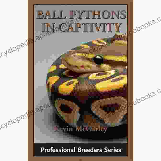 Ball Pythons In Captivity Book Cover Ball Pythons In Captivity Kevin McCurley