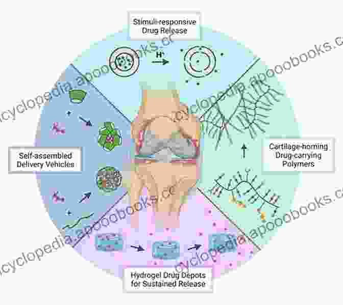 Biomaterials In Drug Delivery Functional Marine Biomaterials: Properties And Applications (Woodhead Publishing In Biomaterials)