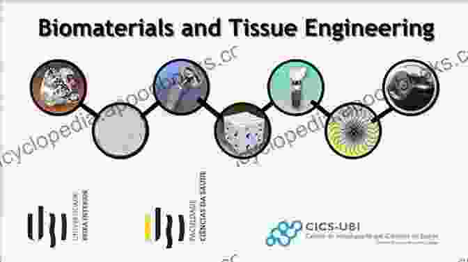 Biomaterials In Tissue Engineering Functional Marine Biomaterials: Properties And Applications (Woodhead Publishing In Biomaterials)