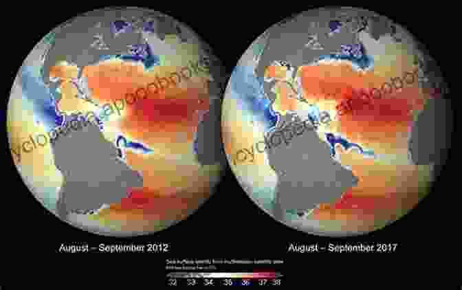 Book Cover Of Marine Biodiversity: Climatic Variability And Global Change On Earth's Oceans Marine Biodiversity Climatic Variability And Global Change (Earthscan Oceans)