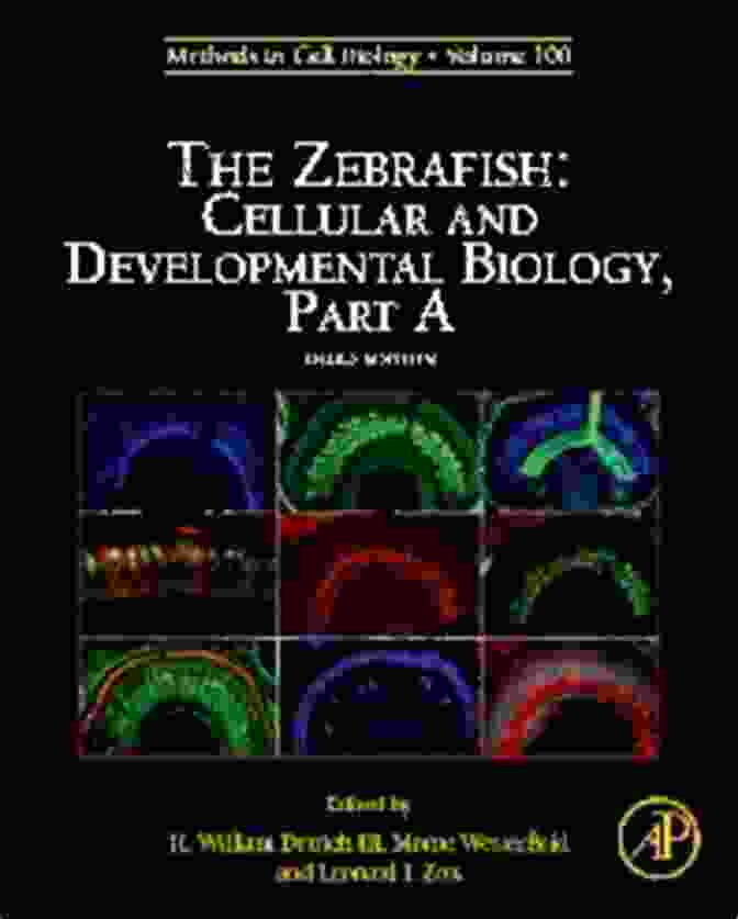 Cellular And Developmental Biology Part 1 Book Cover The Zebrafish: Cellular And Developmental Biology Part B (ISSN 134)