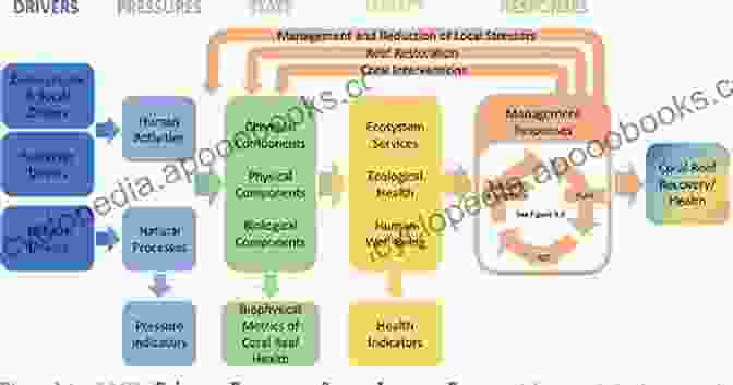 Decision Framework For Interventions To Increase The Persistence And Resilience Of Students Book Cover A Decision Framework For Interventions To Increase The Persistence And Resilience Of Coral Reefs