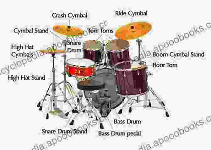 Diagram Of A Drum Set Learn How To Play Drums : Everything You Need To Know To Get You Started