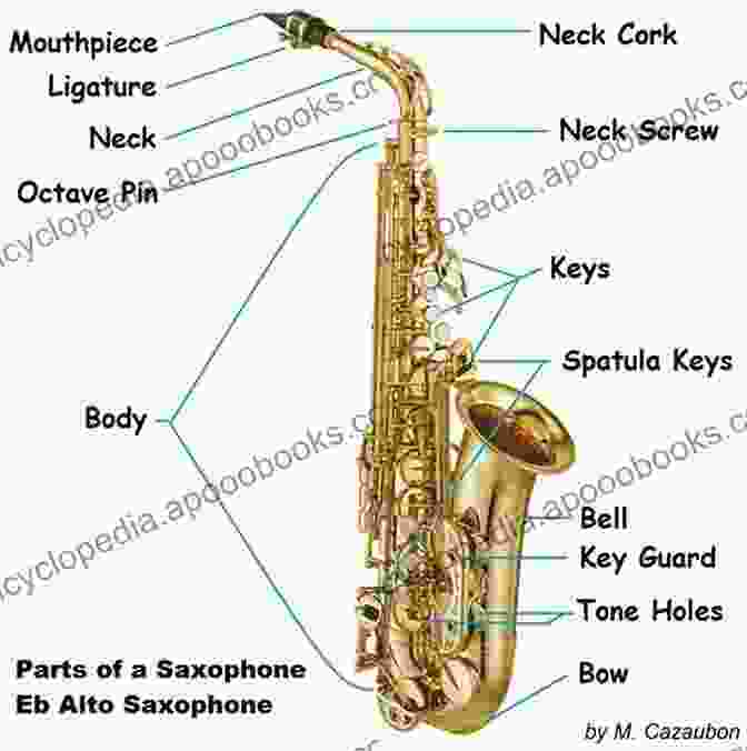 Diagram Of Saxophone Anatomy The Process Of Learning How To Play Beautifully Music On A Saxophone: Learn Powerful Methods