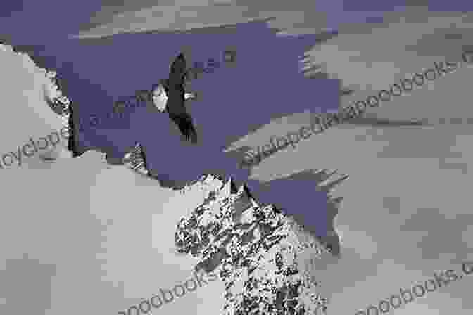 Eaglefriend Soaring Above The Mountains Son Of Eaglefriend (The Tale Of Eaglefriend 3)