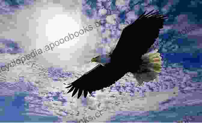 Eaglefriend Soaring Through The Sky, His Wings Outspread Eaglebreaker (The Tale Of Eaglefriend 2)