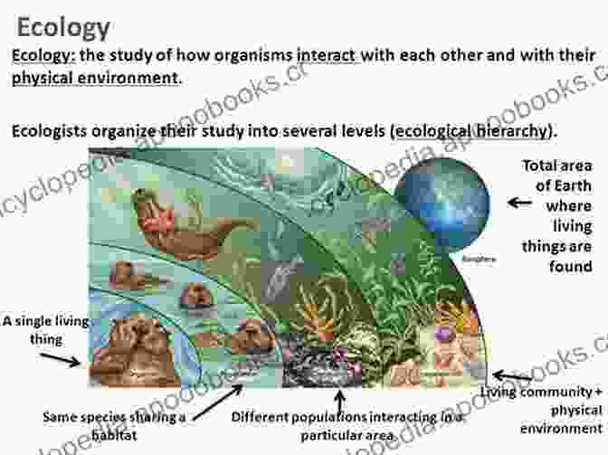 Ecology Ecosystem Interactions Biology And Life Sciences: An Interdisciplinary Survey