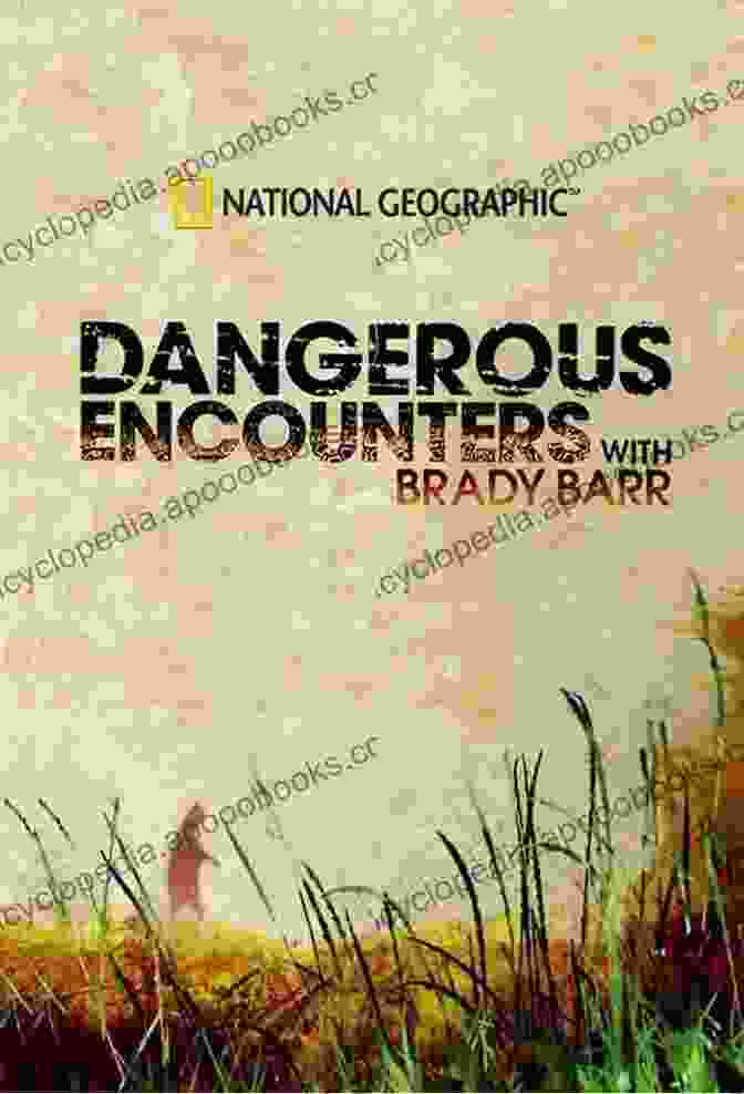 Ethan James Facing A Dangerous Encounter Stalker: A Gripping Edge Of Your Seat Revenge Thriller