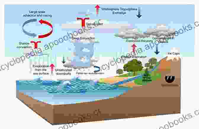 Evaporation Of Water From An Ocean Surface, Creating Water Vapor Where Do Clouds Come From