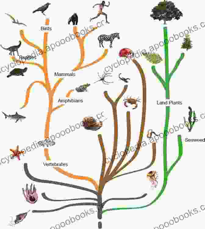 Evolutionary Tree Of Life Biology And Life Sciences: An Interdisciplinary Survey