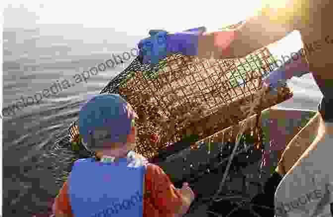 Fishermen Hauling In Slipper Lobsters The Biology And Fisheries Of The Slipper Lobster (Crustacean Issues 17)