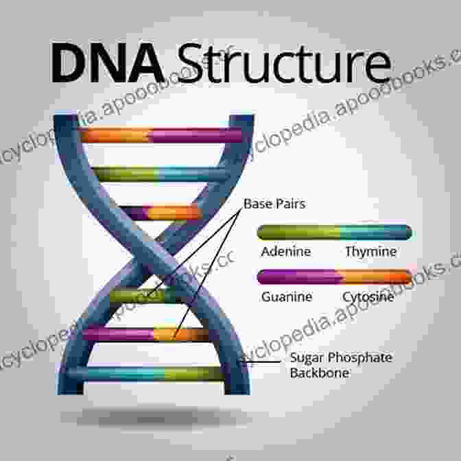 Genetics DNA Structure Biology And Life Sciences: An Interdisciplinary Survey