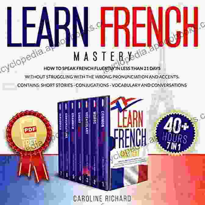 Guide To Realistic French Mastery Book Cover Fluent In French NOW: A Guide To Realistic French Mastery