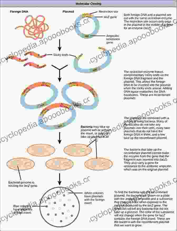 Illustration Of A Gene Therapy Process, Showing A Plasmid DNA Molecule Being Introduced Into A Cell To Replace Faulty Or Missing Genes. Management Of Gastroesophageal Reflux Disease: Surgical And Therapeutic Innovations