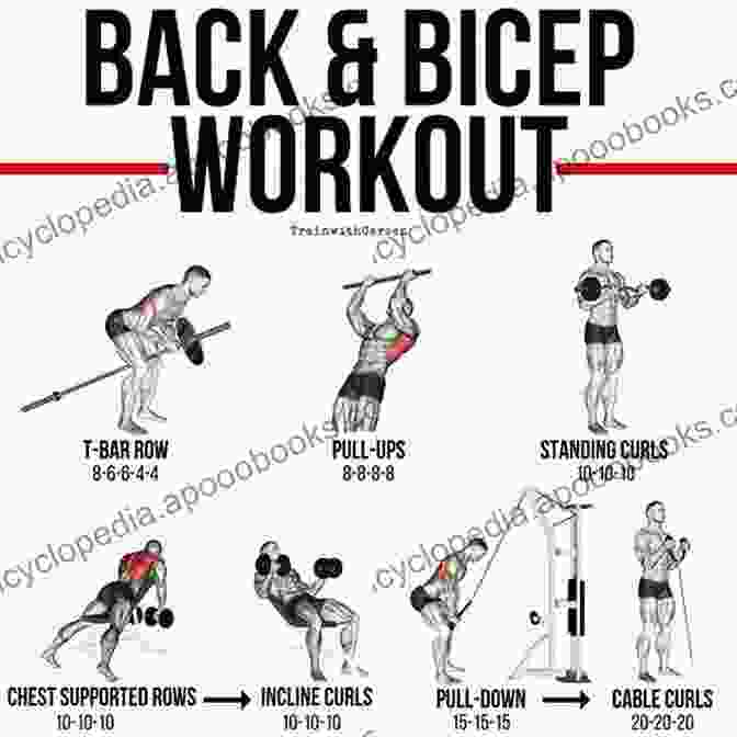 Image Of A Person Performing Back And Biceps Exercises Formula 50: A 6 Week Workout And Nutrition Plan That Will Transform Your Life