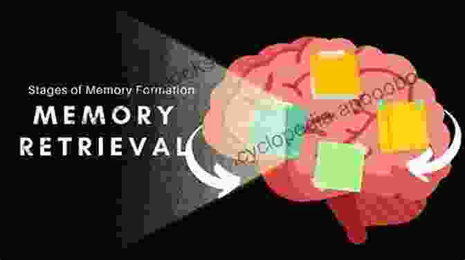 Impact Of Time On Memory Retrieval Memory And Sexual Misconduct: Psychological Research For Criminal Justice