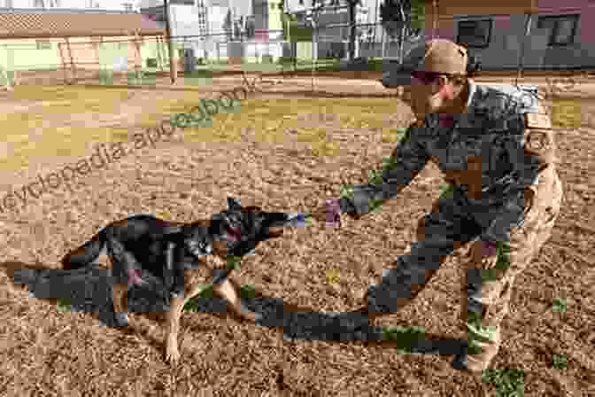 K9 Detective Chase And His Handler, Forming An Unbreakable Bond And Working Together To Fight Crime Carjack Kidnap (Hunter K9 Detective 1)