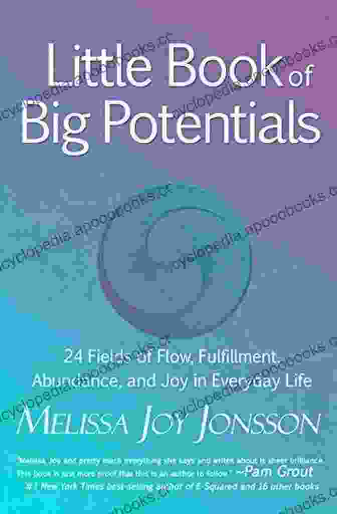 Little Of Big Potentials Book Cover Practical Play The Heart Centered Way: A Complementary Play Guide To Little Of Big Potentials