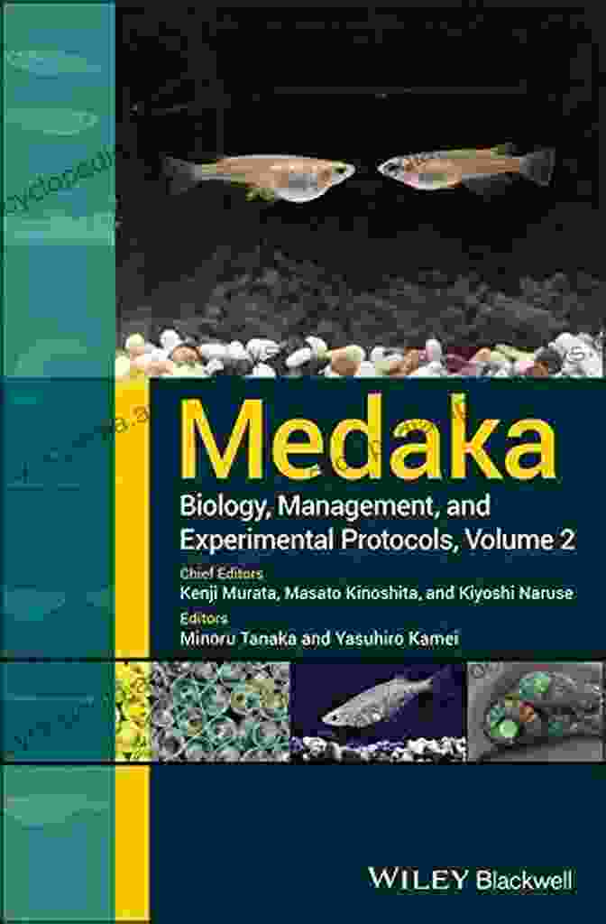 Medaka Biology, Management, And Experimental Protocols Book Cover Image Medaka: Biology Management And Experimental Protocols Volume 2