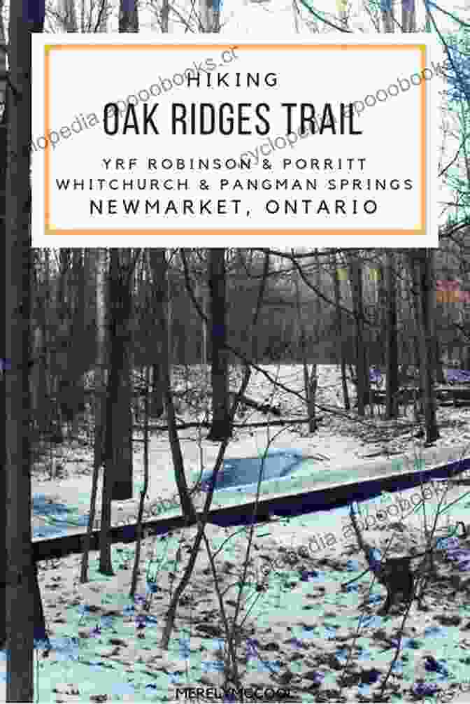 Oak Ridges Trail Through Forests And Wetlands Cycling Greater Toronto Niagara Peninsula