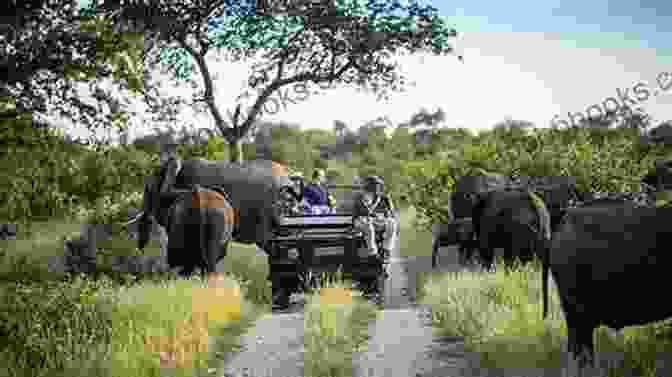 Safari In Kruger National Park Let S Explore South Africa Kids (Let S Explore The World Kids )