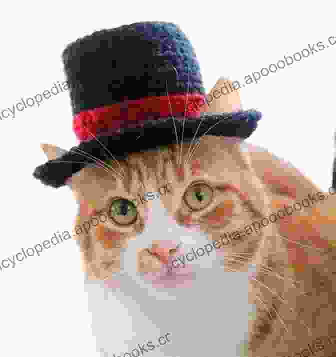 The Hat With Nine Lives: Roxie Book Cover Featuring A Cat Wearing A Hat With Nine Lives The Hat With Nine Lives: Roxie