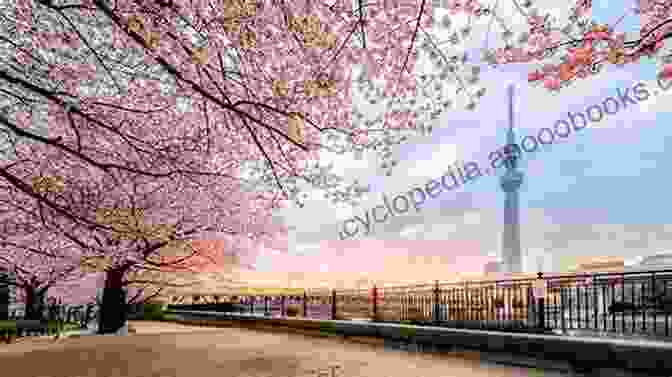 Tokyo Skyline With Cherry Blossoms Tokyo Travel Guide By Locals 2024