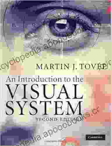 An Introduction To The Visual System