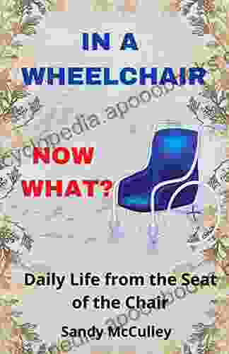 IN A WHEELCHAIR NOW WHAT?: Daily Life From The Seat Of The Chair