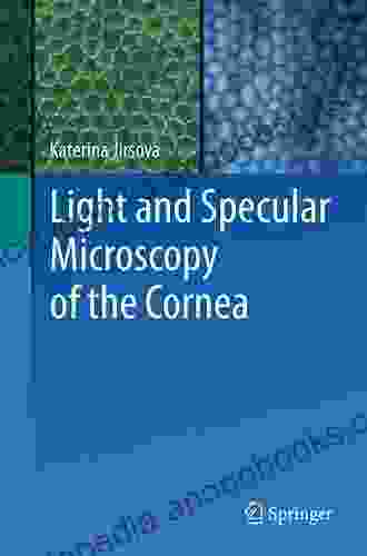 Light And Specular Microscopy Of The Cornea