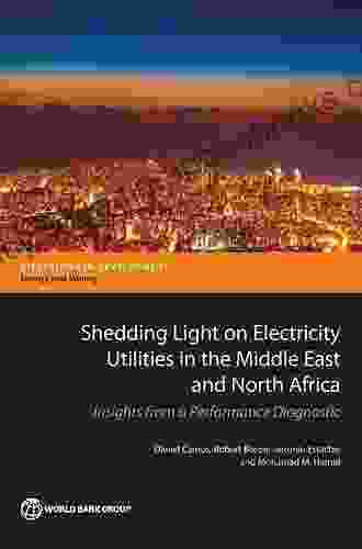 Shedding Light on Electricity Utilities in the Middle East and North Africa: Insights from a Performance Diagnostic (Directions in Development Directions in Development Energy and Mining)