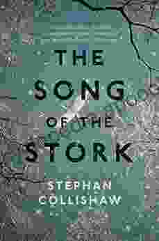 The Song of the Stork: A Story of Love Hope and Survival