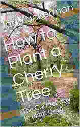 How to Plant a Cherry Tree: The Correct way to plant them